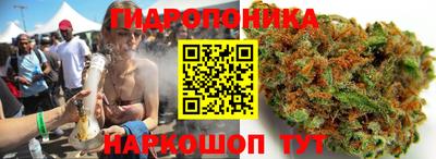 крисы Краснокаменск