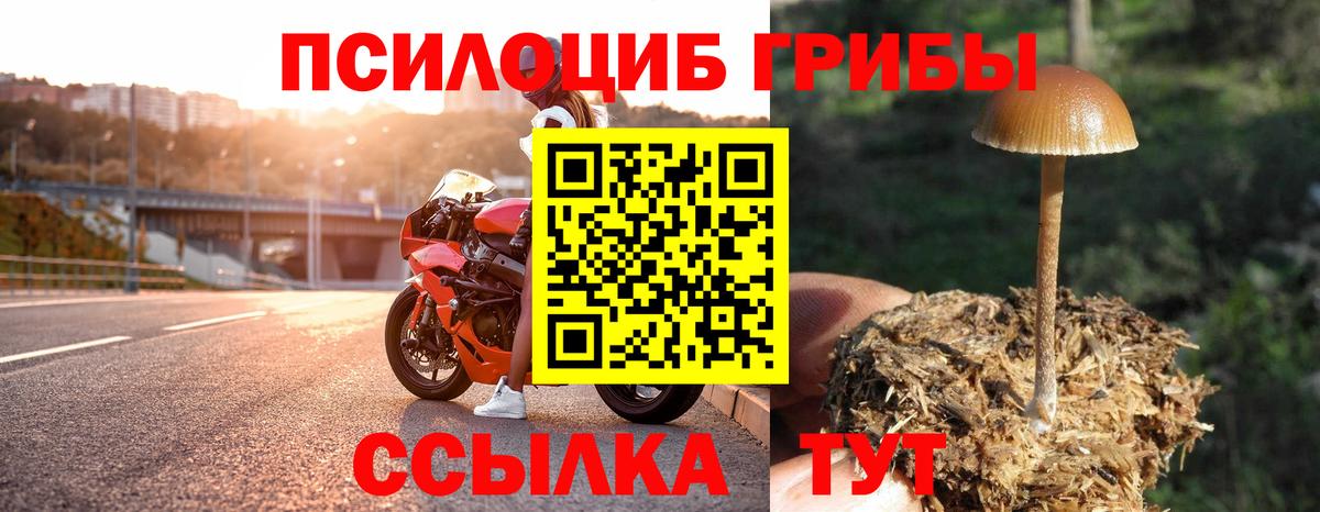 Псилоцибиновые грибы GOLDEN TEACHER  Галлюциногенные грибы Psilocybine cubensis  Вход с VPN  Иваново 