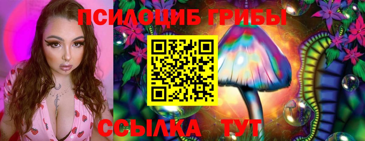 Галлюциногенные грибы мухоморы Иваново